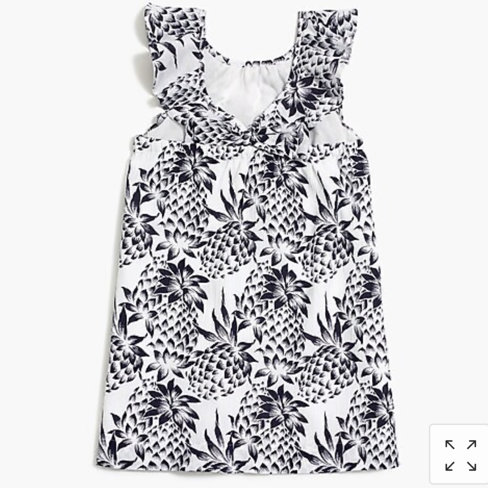 J. Crew Crewcuts Dress NWT